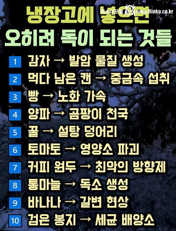 냉장고에 넣으면 오히려 독이 되는 것들