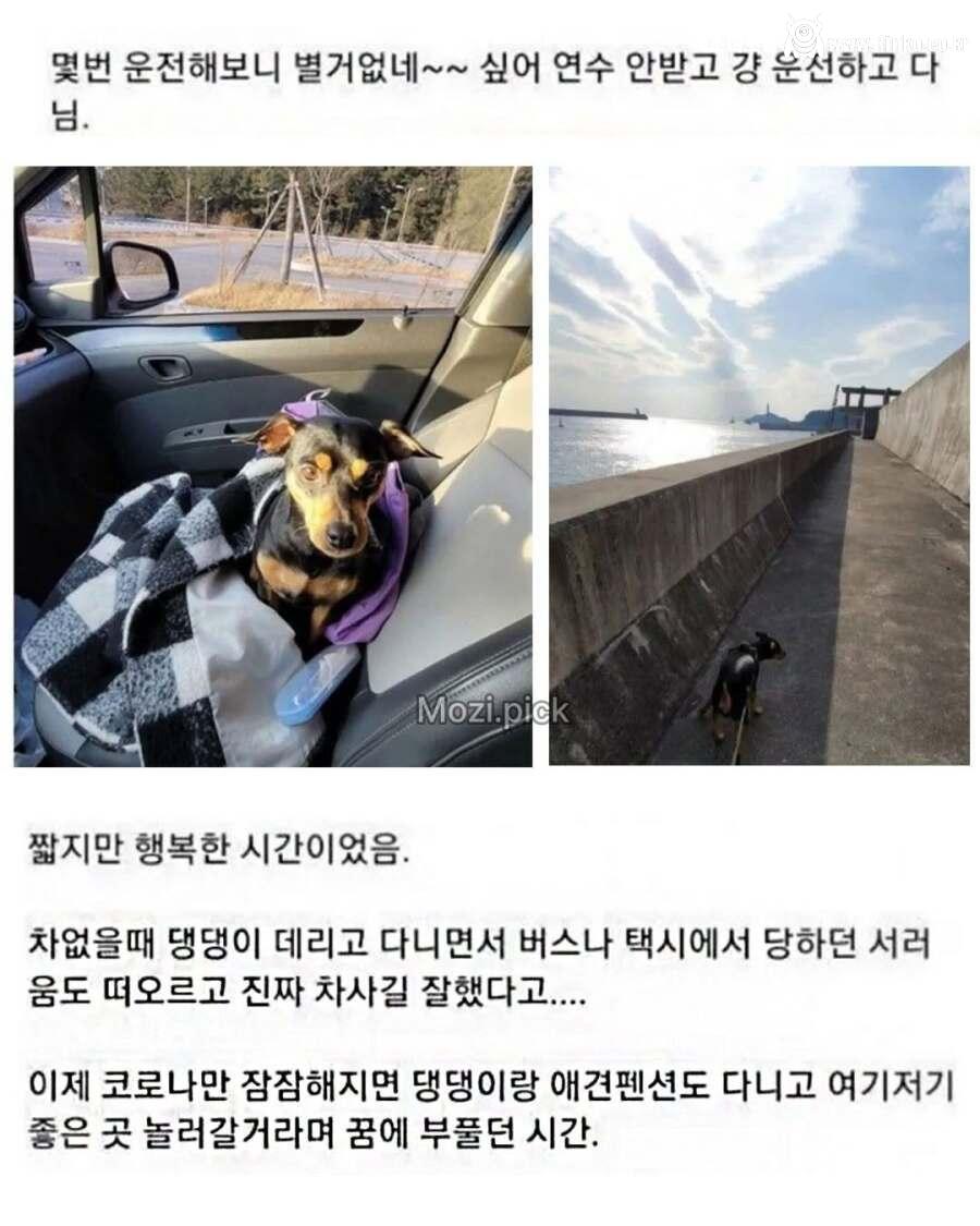 운전 면허 시험을 어렵게 해야하는 이유