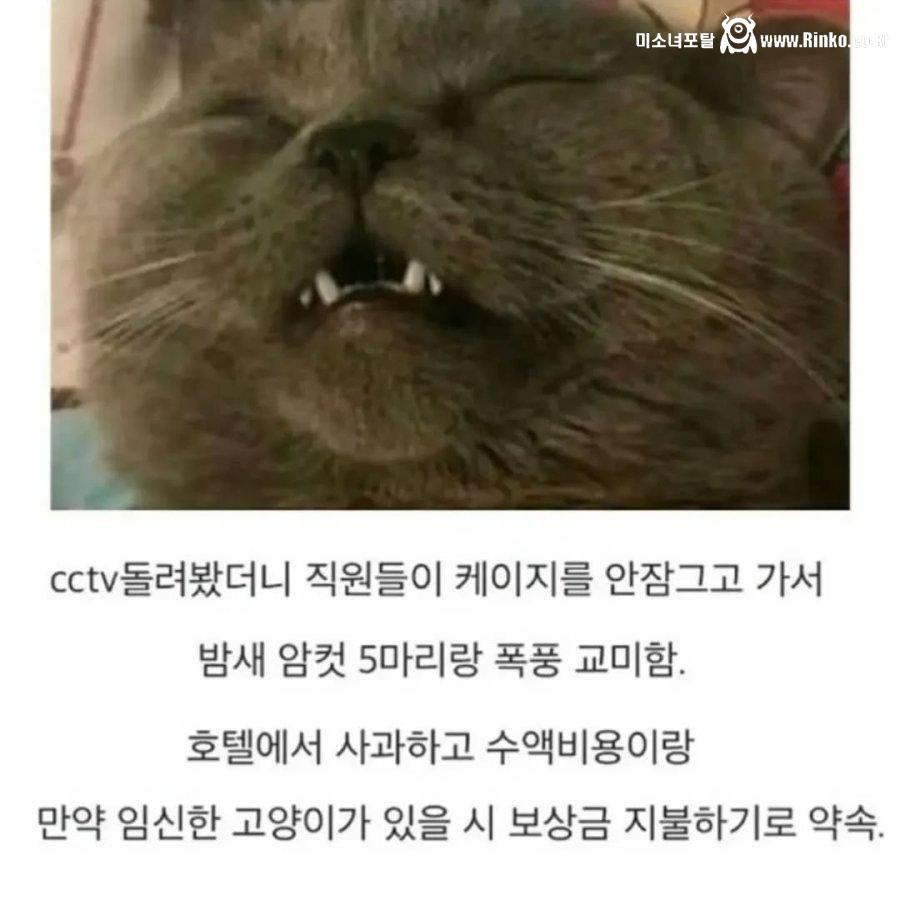 호텔에서 1:5 집단 ㅅㅅ사건 발생