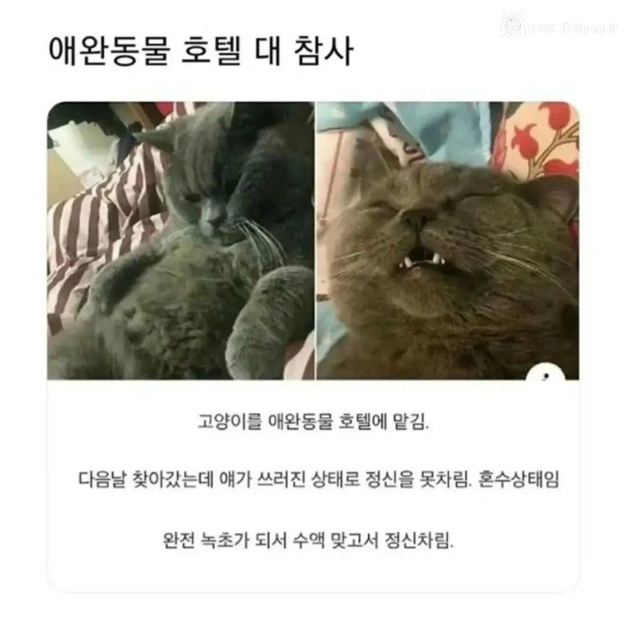 호텔에서 1:5 집단 ㅅㅅ사건 발생