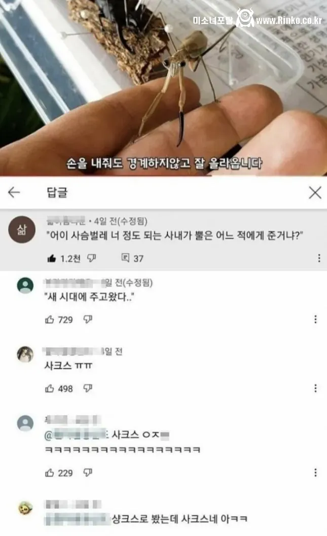 비브라늄 사마귀 최신근황