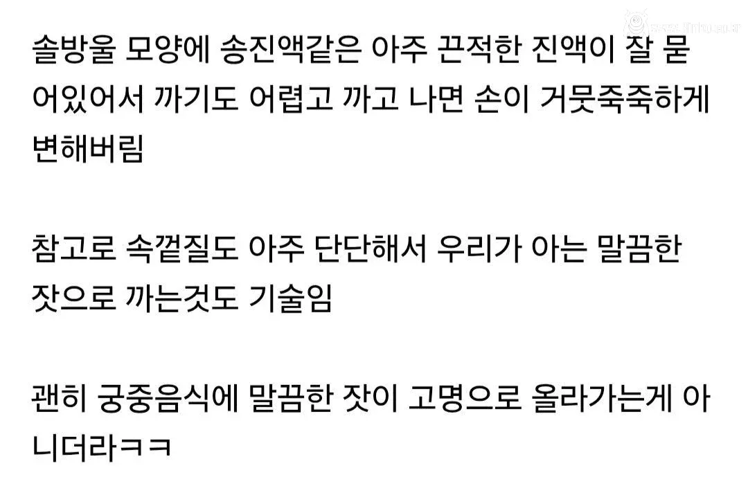 요즘 사람들은 의외로 잘 모르는 잣 본래 모습