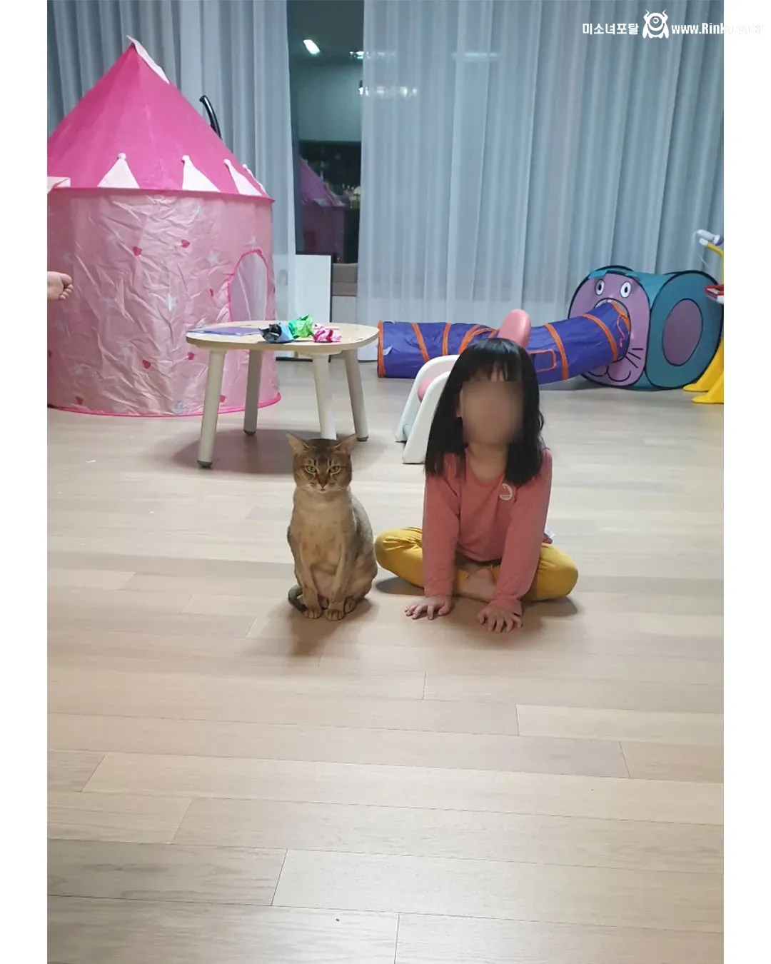 딸과 고양이 그리고 아빠의 4년간 변화