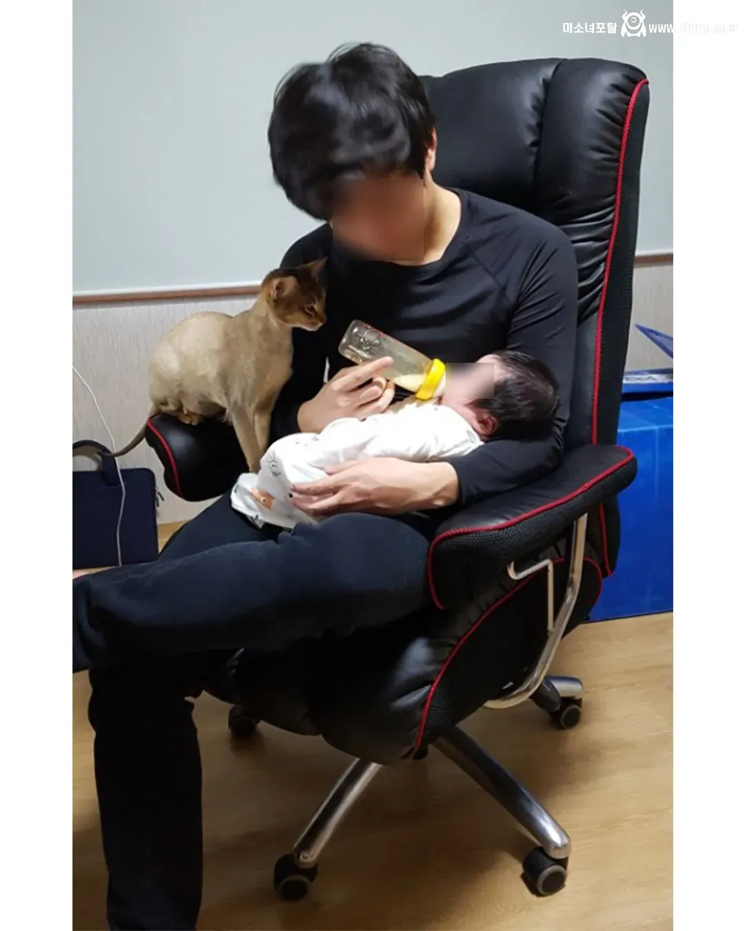 딸과 고양이 그리고 아빠의 4년간 변화