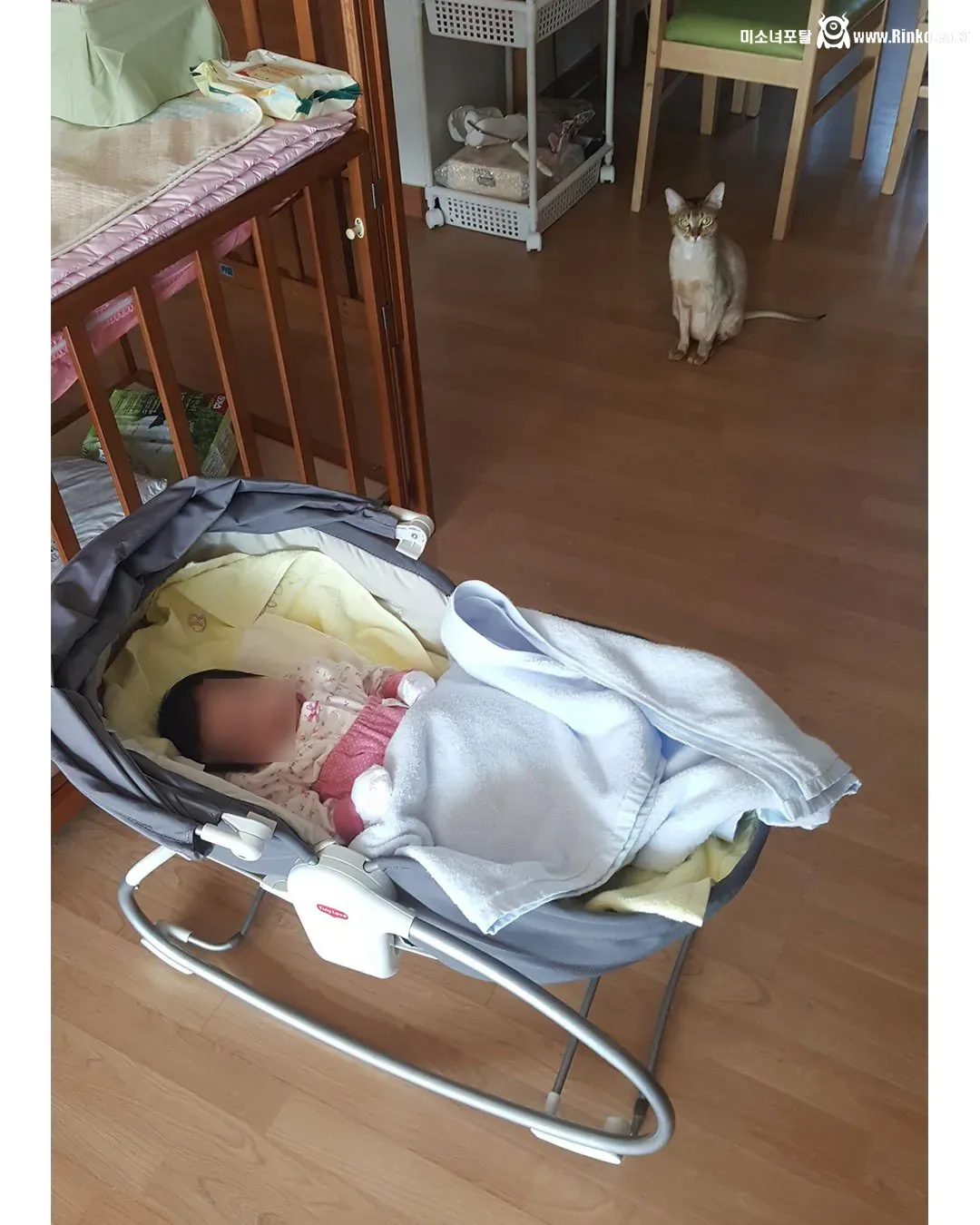 딸과 고양이 그리고 아빠의 4년간 변화