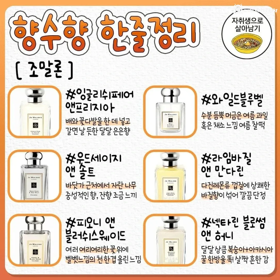 향수 살 때 참고하는 향수향 한줄정리