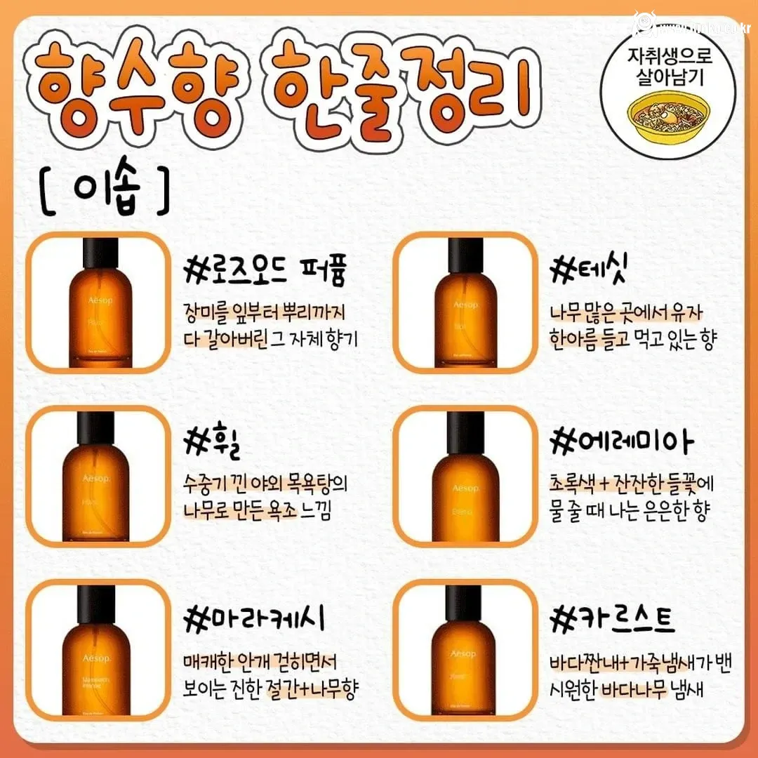 향수 살 때 참고하는 향수향 한줄정리