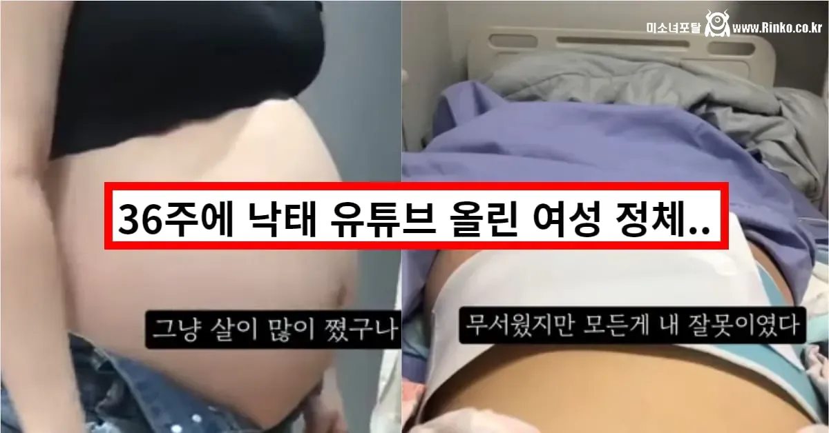 36주 낙태 브이로그 유튜버 꼼죽의 최후