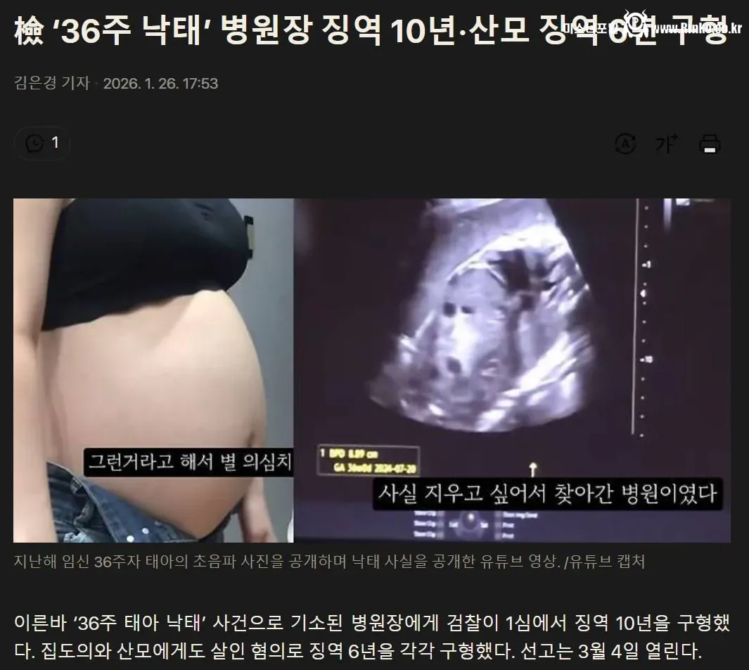 36주 낙태 브이로그 유튜버 꼼죽의 최후