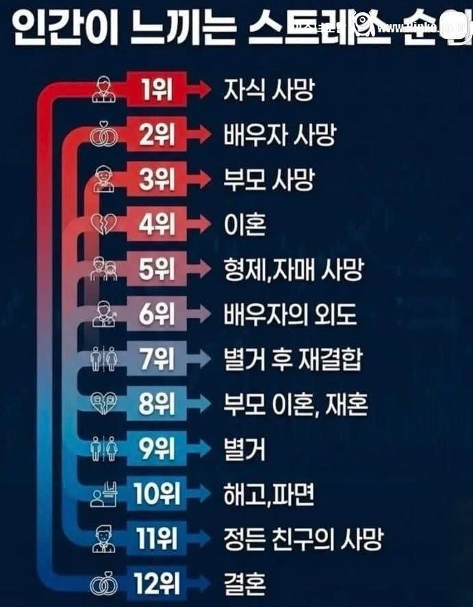 인간에게 가장 큰 스트레스를 주는 일 순위