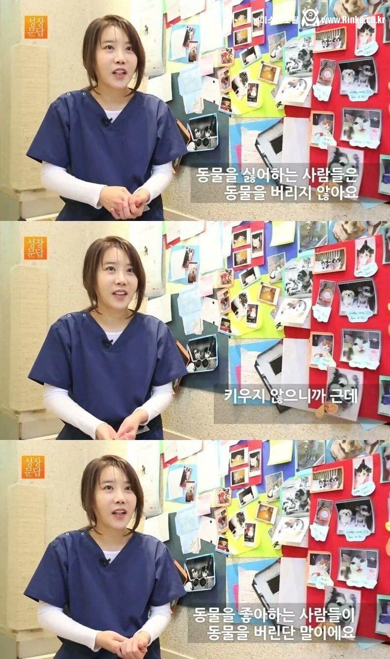 동물 버리는 인간들을 향한 수의사의 나긋한 팩트 폭행