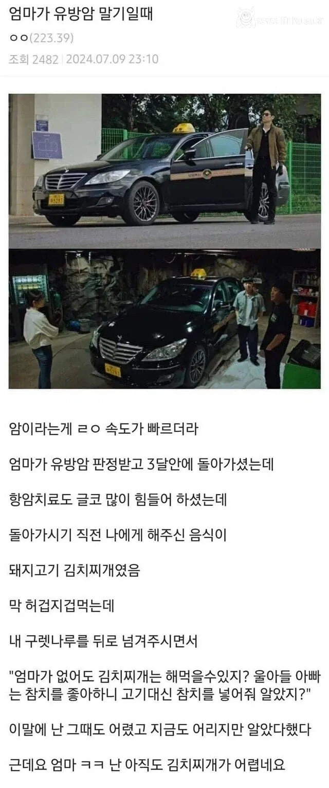 엄마가 유방암 말기일 때 해준거