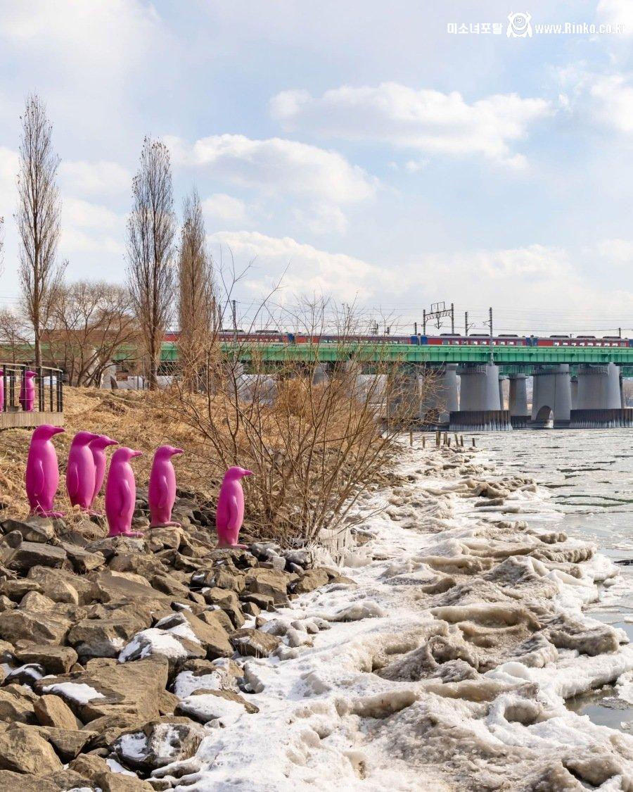 한파로 꽁꽁 얼어붙은 한강