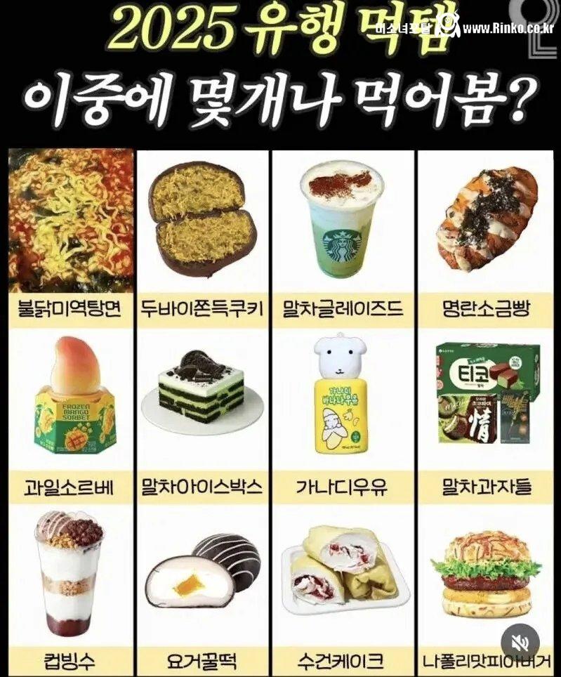 2025년 유행했던 먹템