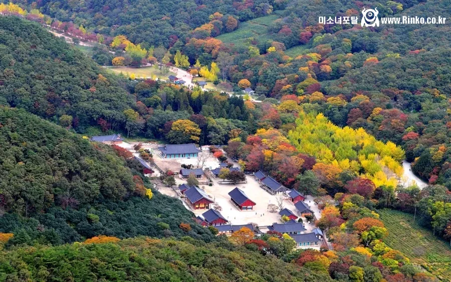 임진왜란 때 불탄 문화재 모음