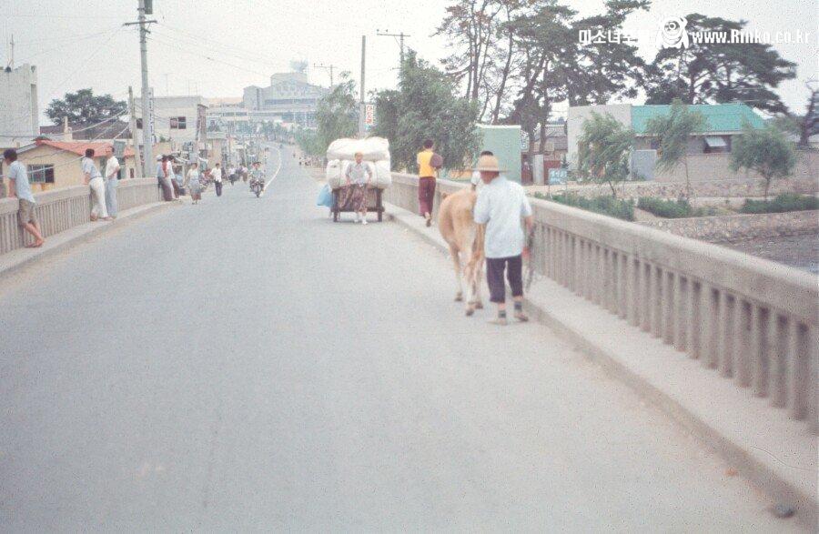 그 시절.. 70년대 부산 사진들