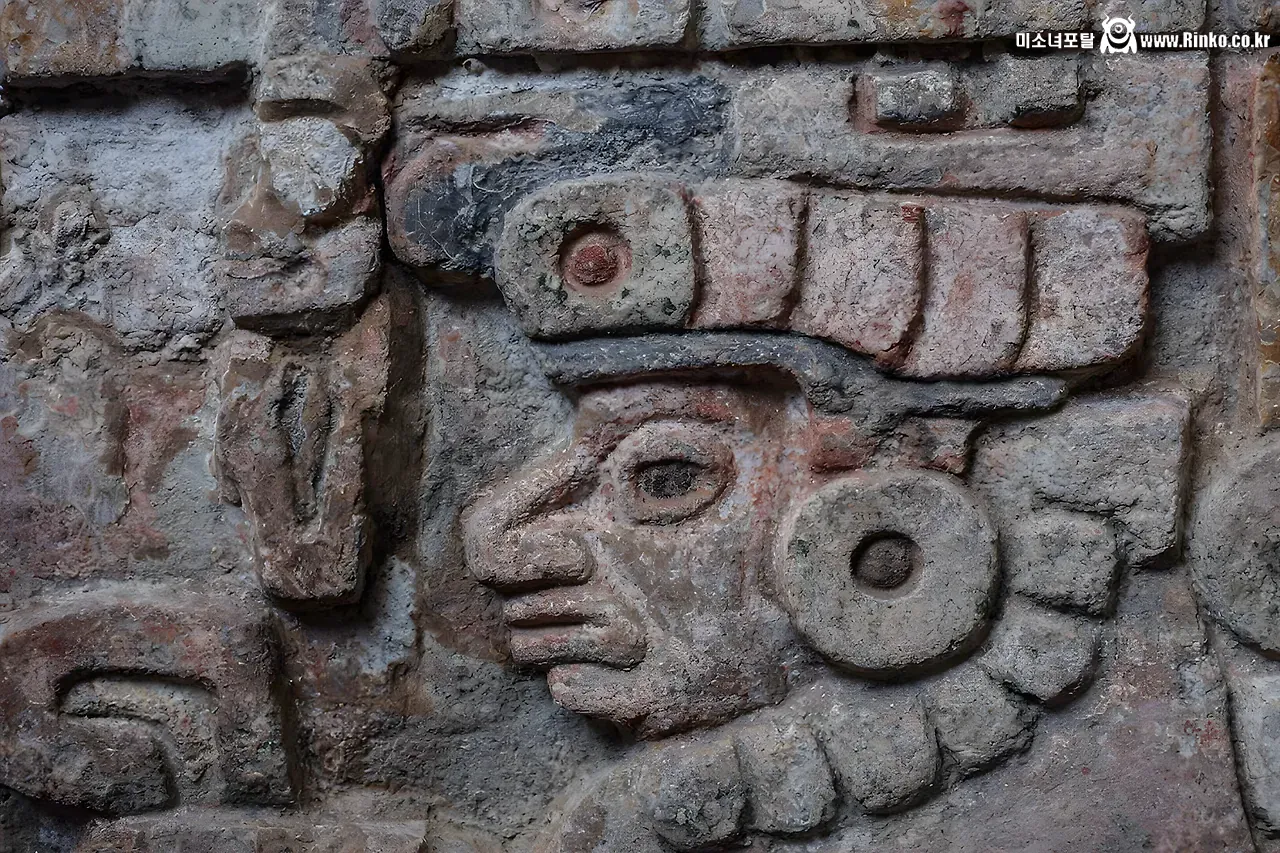 멕시코에서 1400년 전 무덤이 새롭게 발견됨