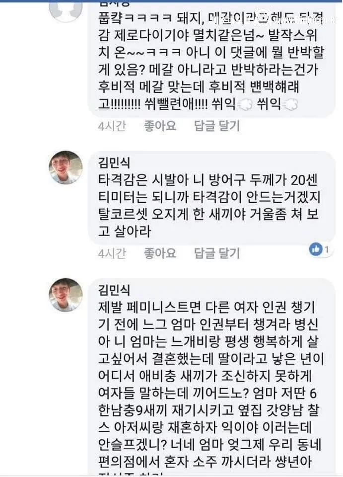 페이스북 페미 도살자 민식좌 근황