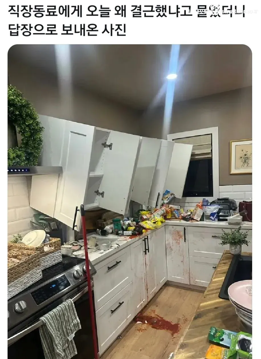 오늘 왜 결근했냐고 물었더니 답장 보낸 사진