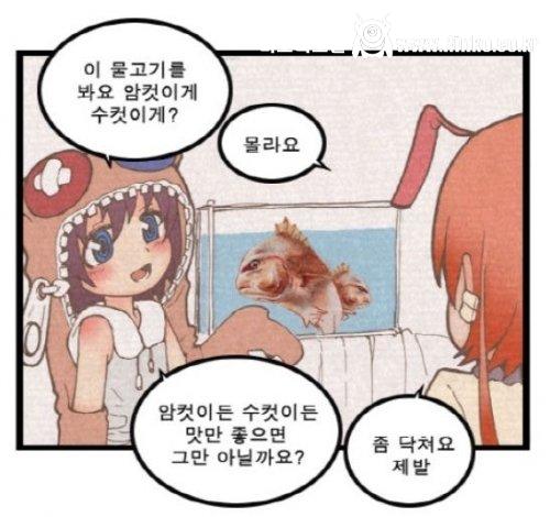 이정도 미모면 누나 가능 한가요?