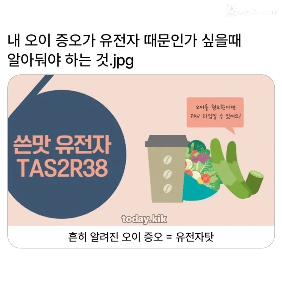 잘못 알려진 오이 편식의 진실