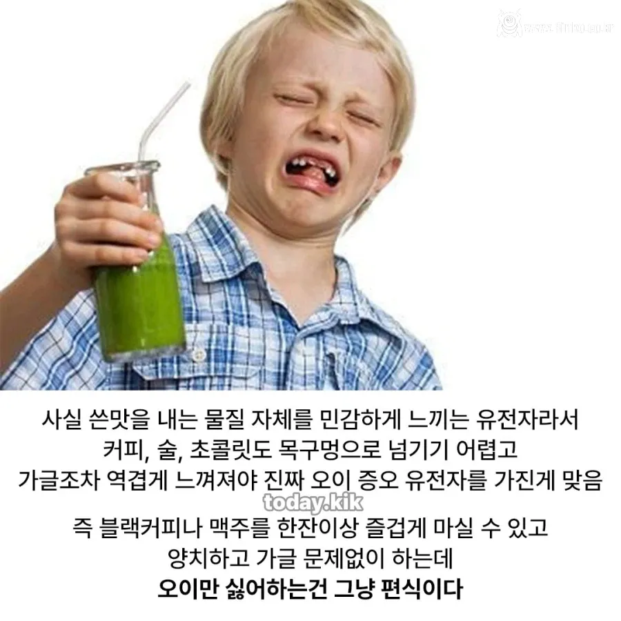 잘못 알려진 오이 편식의 진실