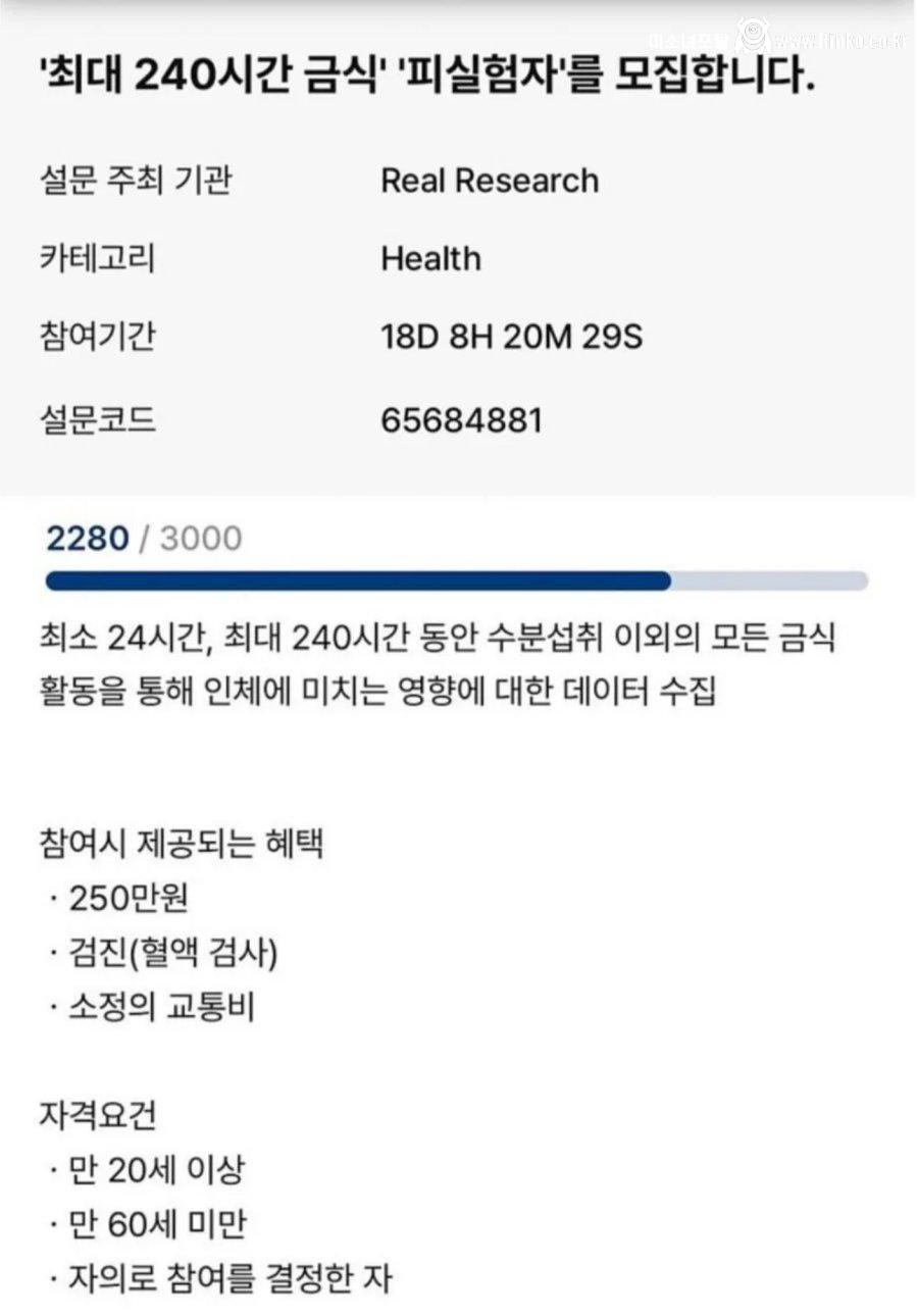 10일 240만원 주는 알바