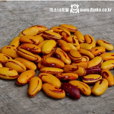 신기하게 생긴 희귀종 콩들