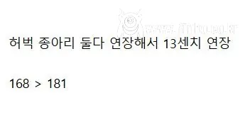 (약혐) 키 13cm 연장한 사람