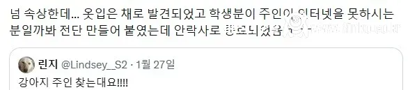 정말 안타까운 "주인을 찾습니다"