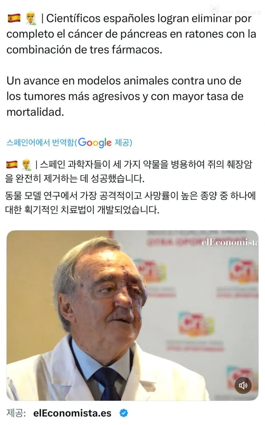 스페인 연구진, 세계 최초로 쥐에서 췌장암 완전 제거 성공