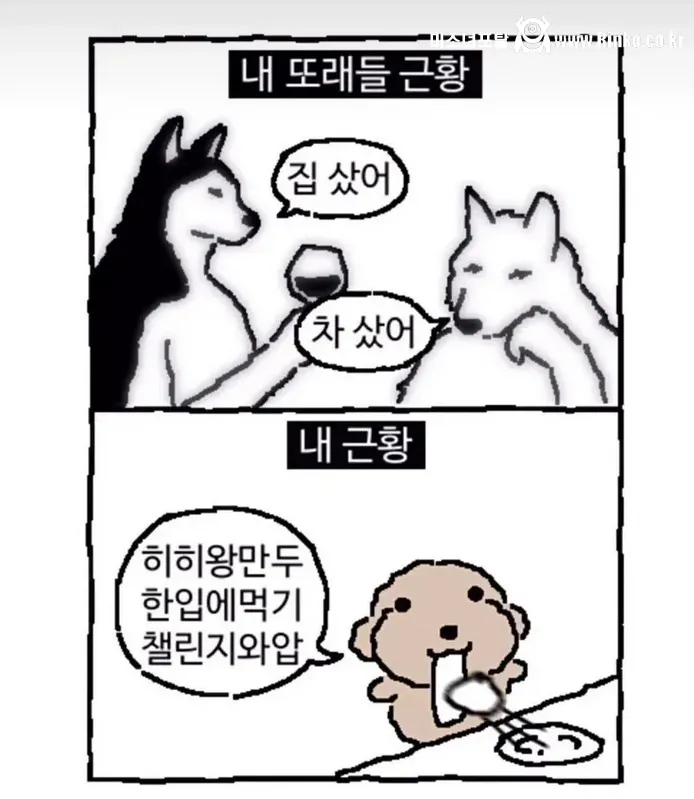 내 또래들 근황 & 내 근황