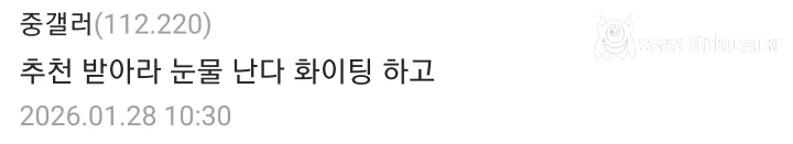 직급이 없어서 다른 이름으로 불린다는 디시인