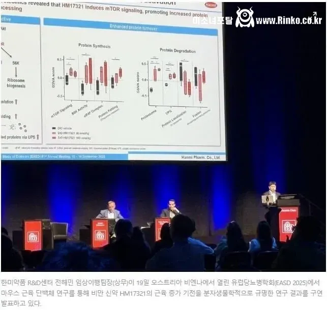 근육판 위고비 마운자로 출시?