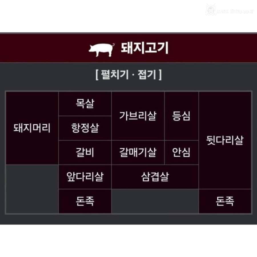 소고기, 돼지고기, 닭고기 부위별 명칭