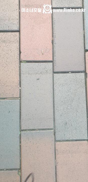 착시같은 신기한 보도블럭