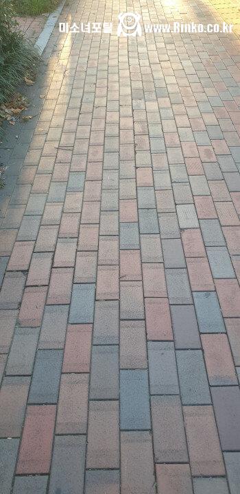 착시같은 신기한 보도블럭