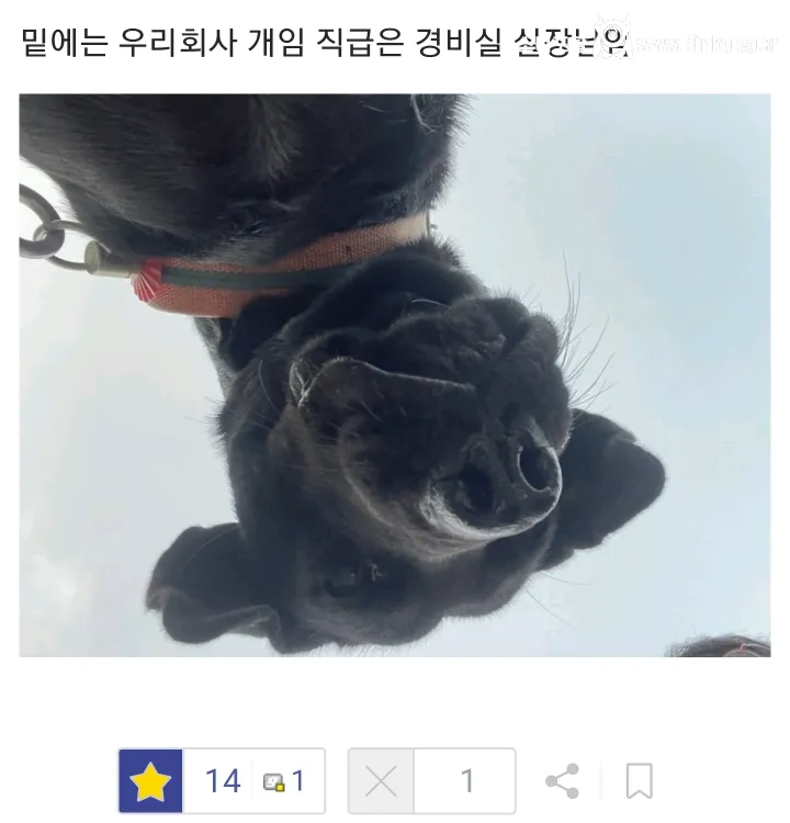 49살 막내직원이랑 28살 직원이랑 회사에서 싸움남