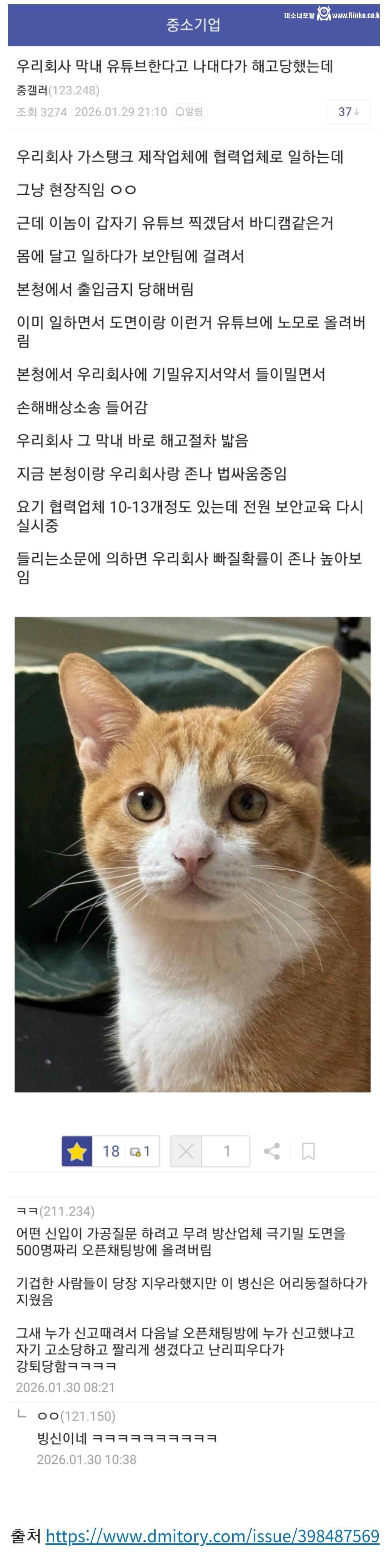 해고당한 막내 직원 때문에 회사 박살나게 생김