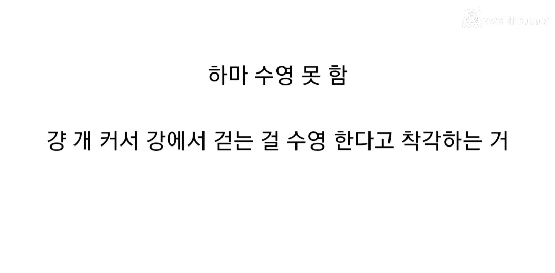 아직도 하마에 대해 모르는 사람이 많은 정보