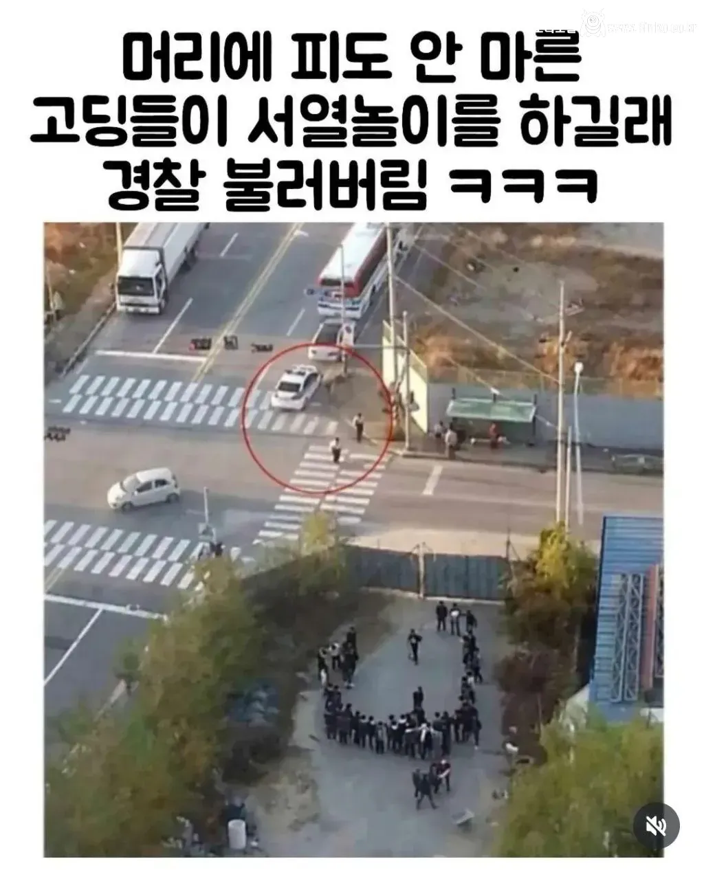 일진 고딩들 서열놀이 신고 후기