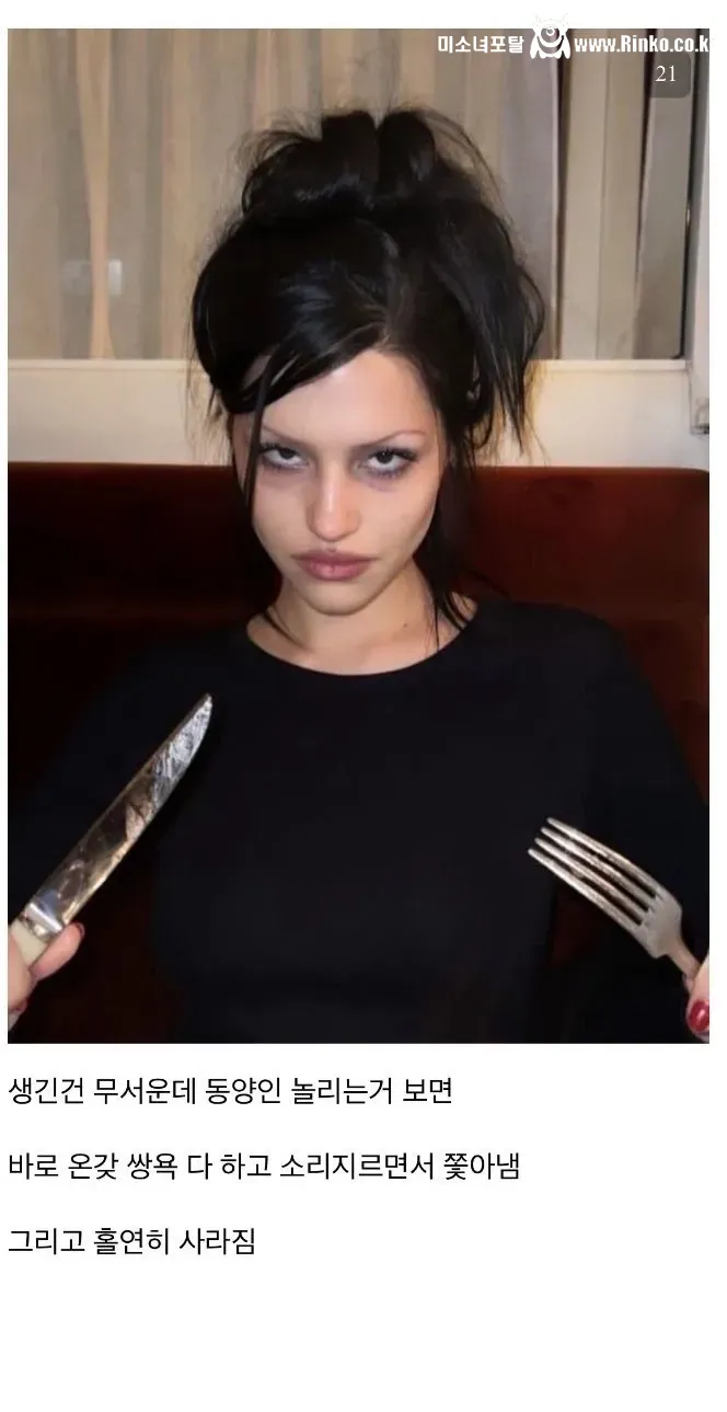 디시인이 말하는 인종차별 유형