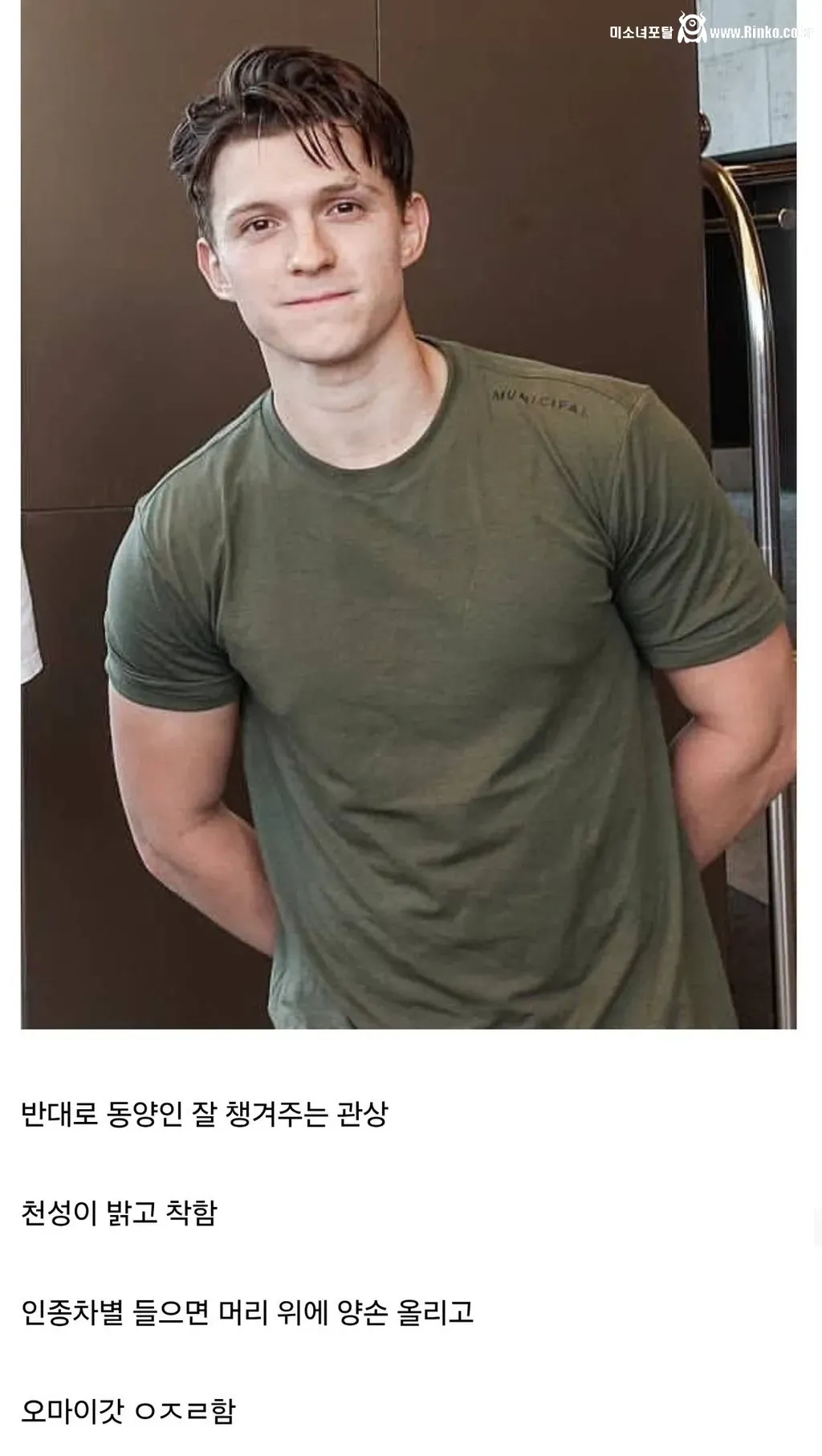 디시인이 말하는 인종차별 유형