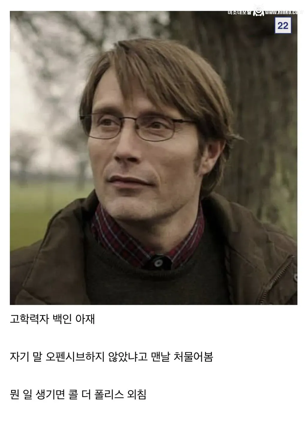 디시인이 말하는 인종차별 유형