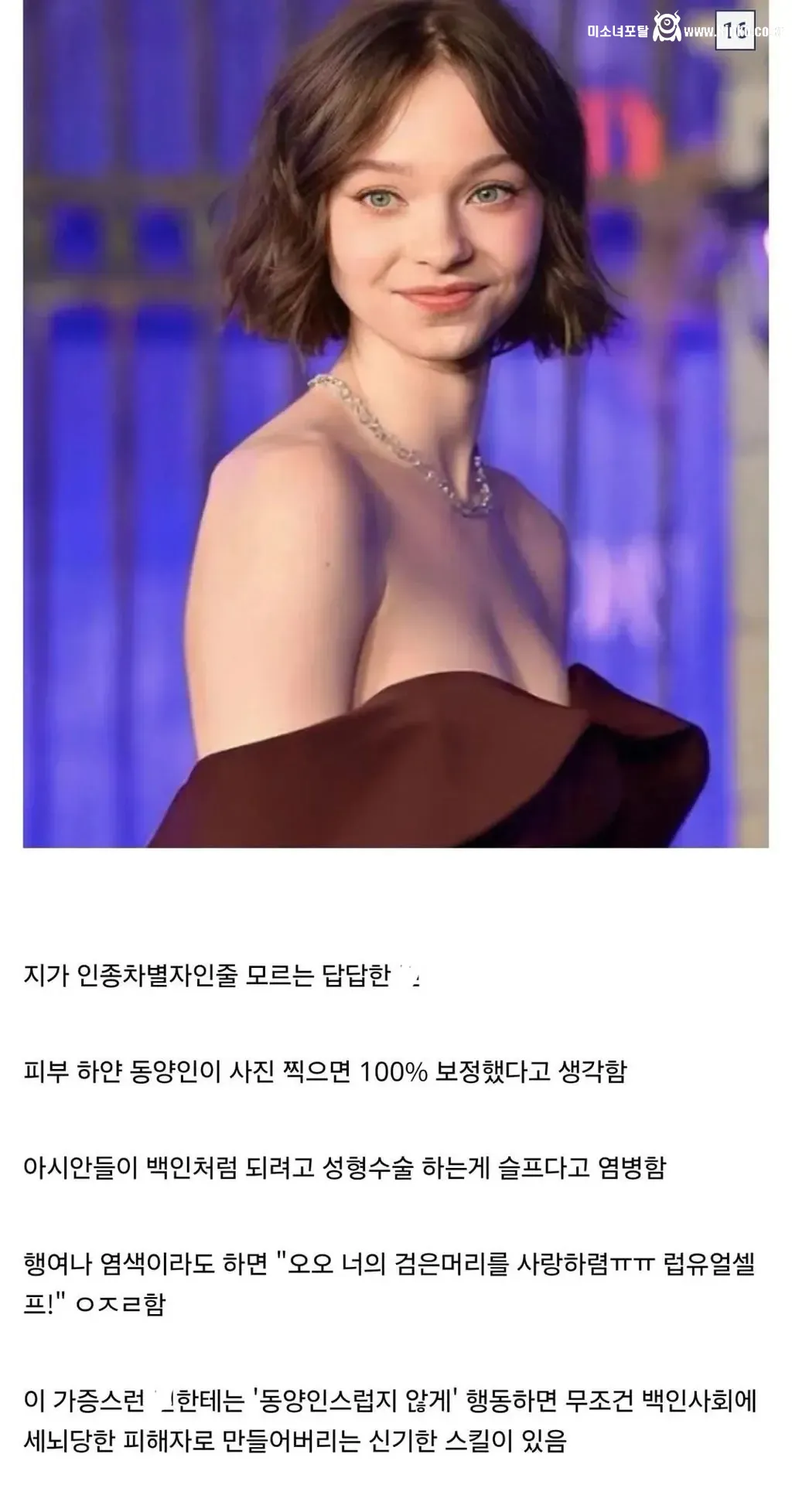 디시인이 말하는 인종차별 유형