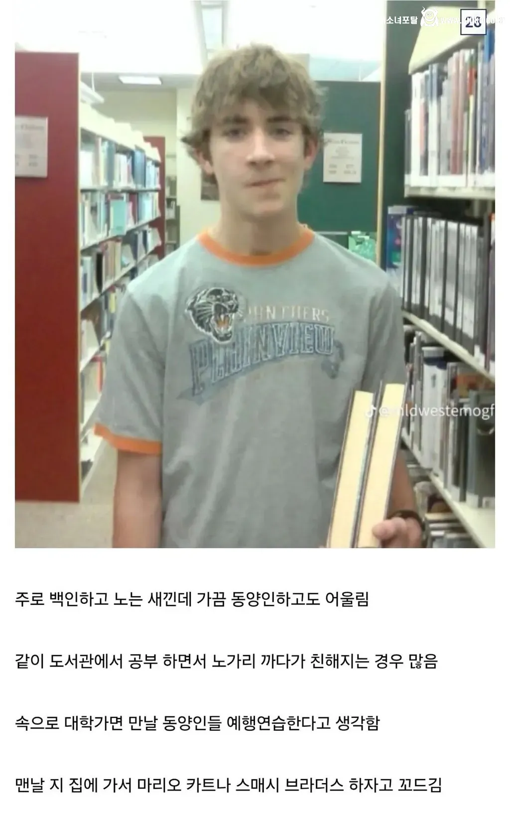 디시인이 말하는 인종차별 유형