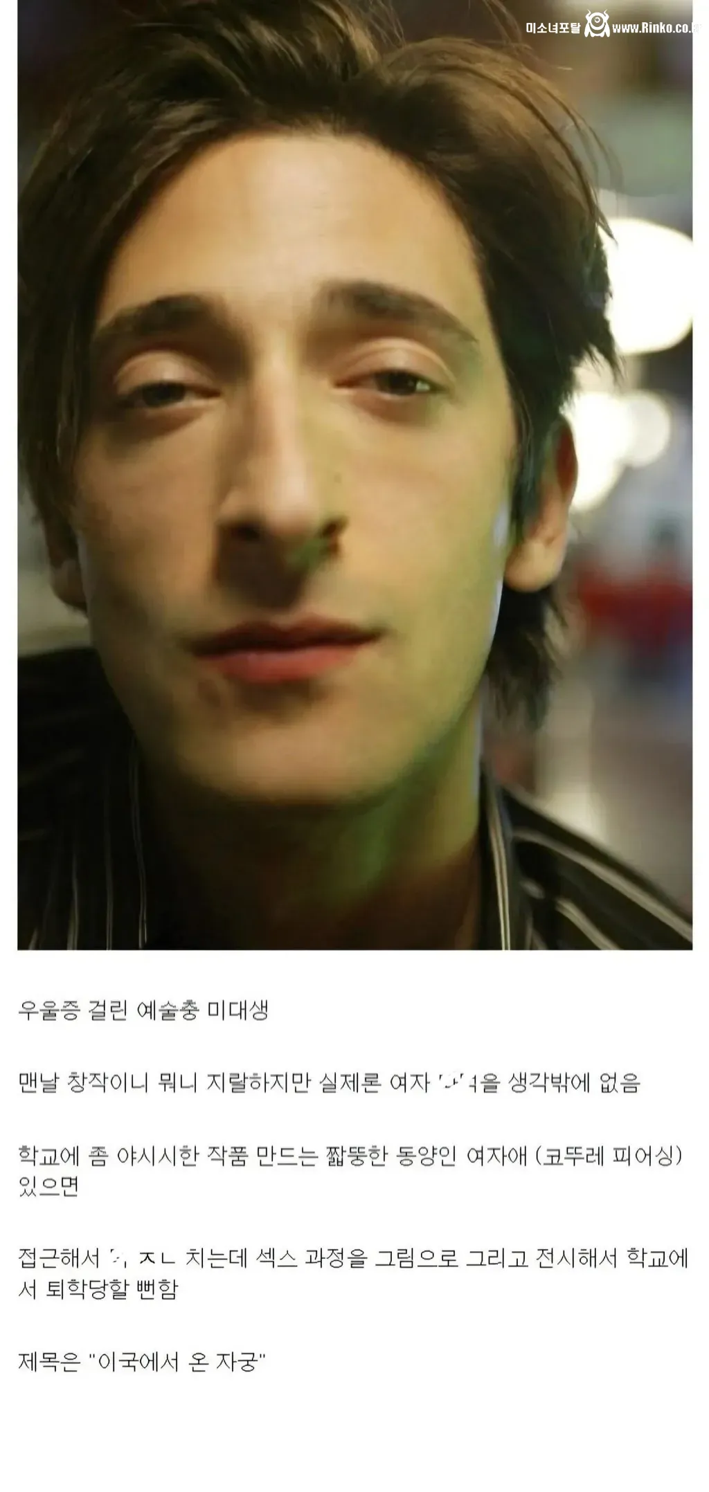 디시인이 말하는 인종차별 유형