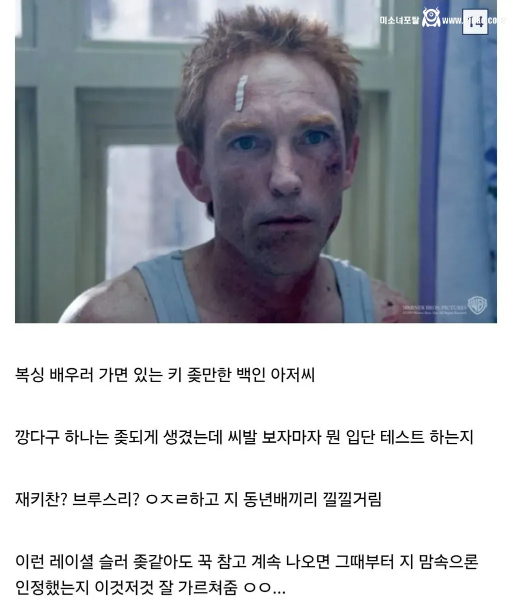 디시인이 말하는 인종차별 유형