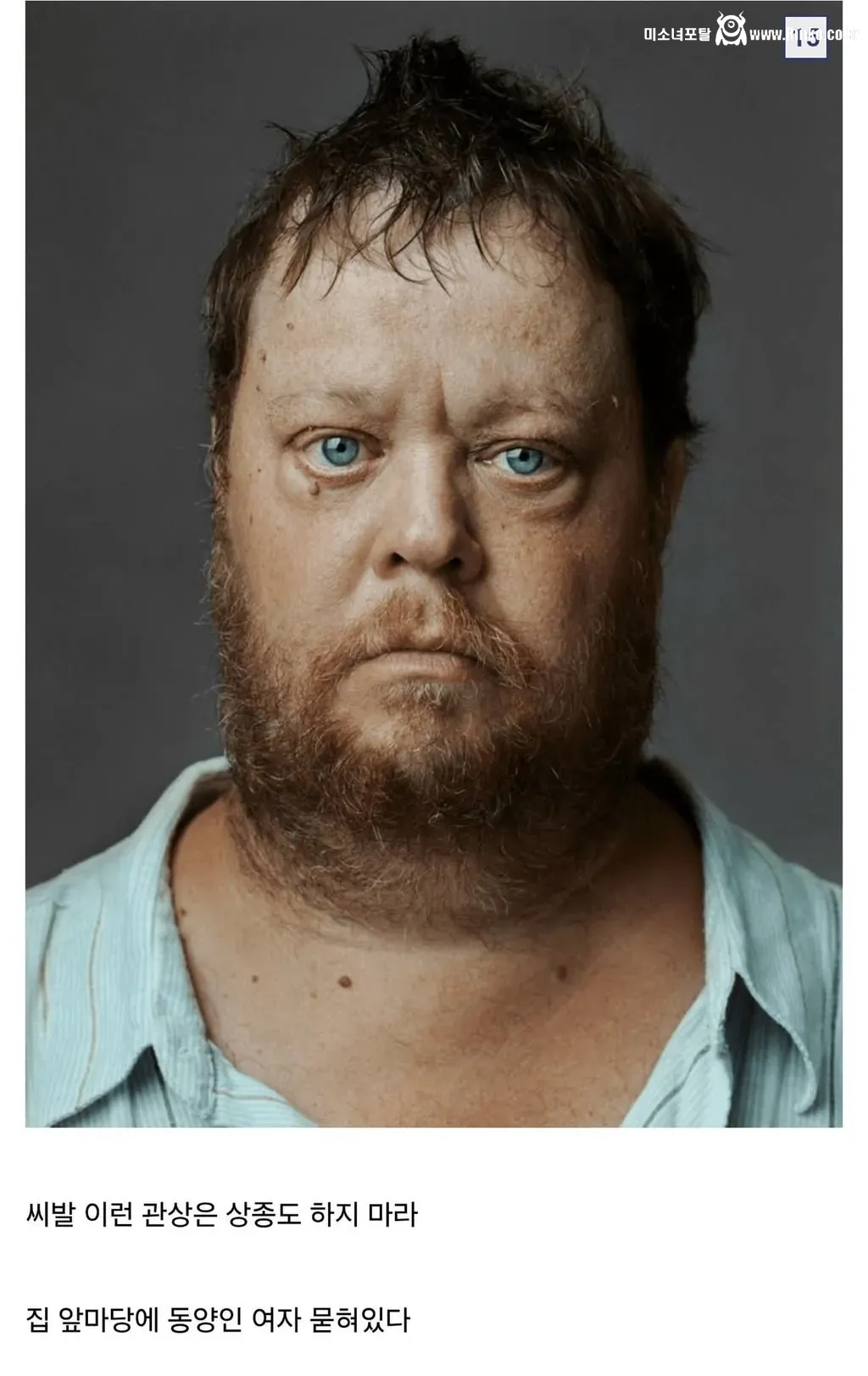 디시인이 말하는 인종차별 유형