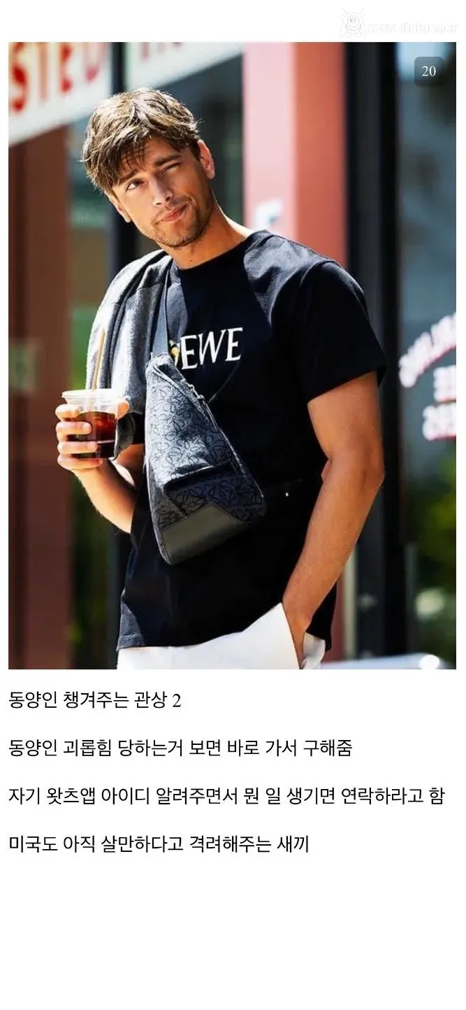 디시인이 말하는 인종차별 유형